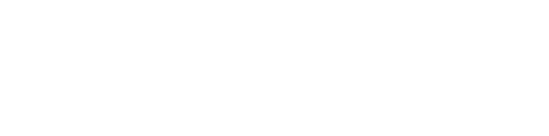 VideoHit